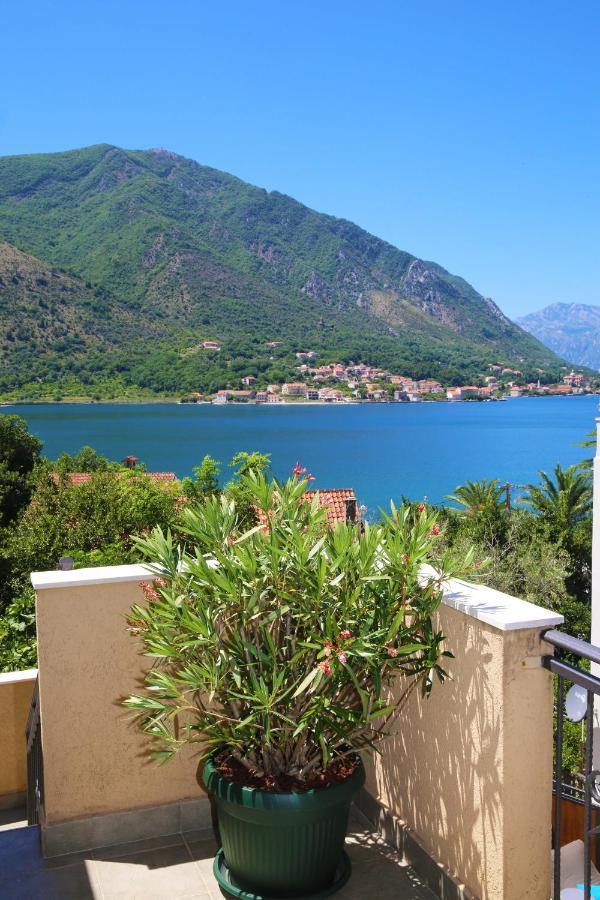 Apartments Jovanovic - Alkima Kotor Extérieur photo