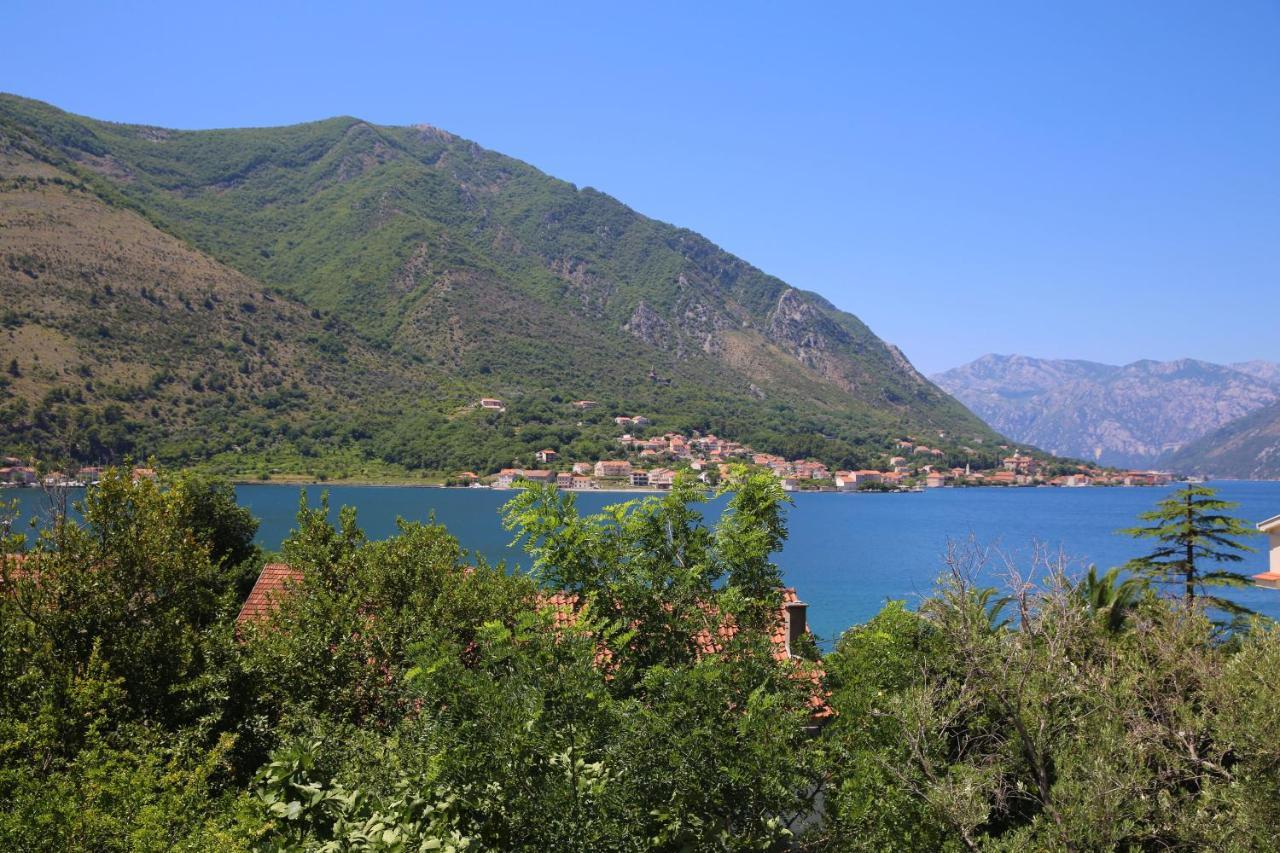 Apartments Jovanovic - Alkima Kotor Extérieur photo