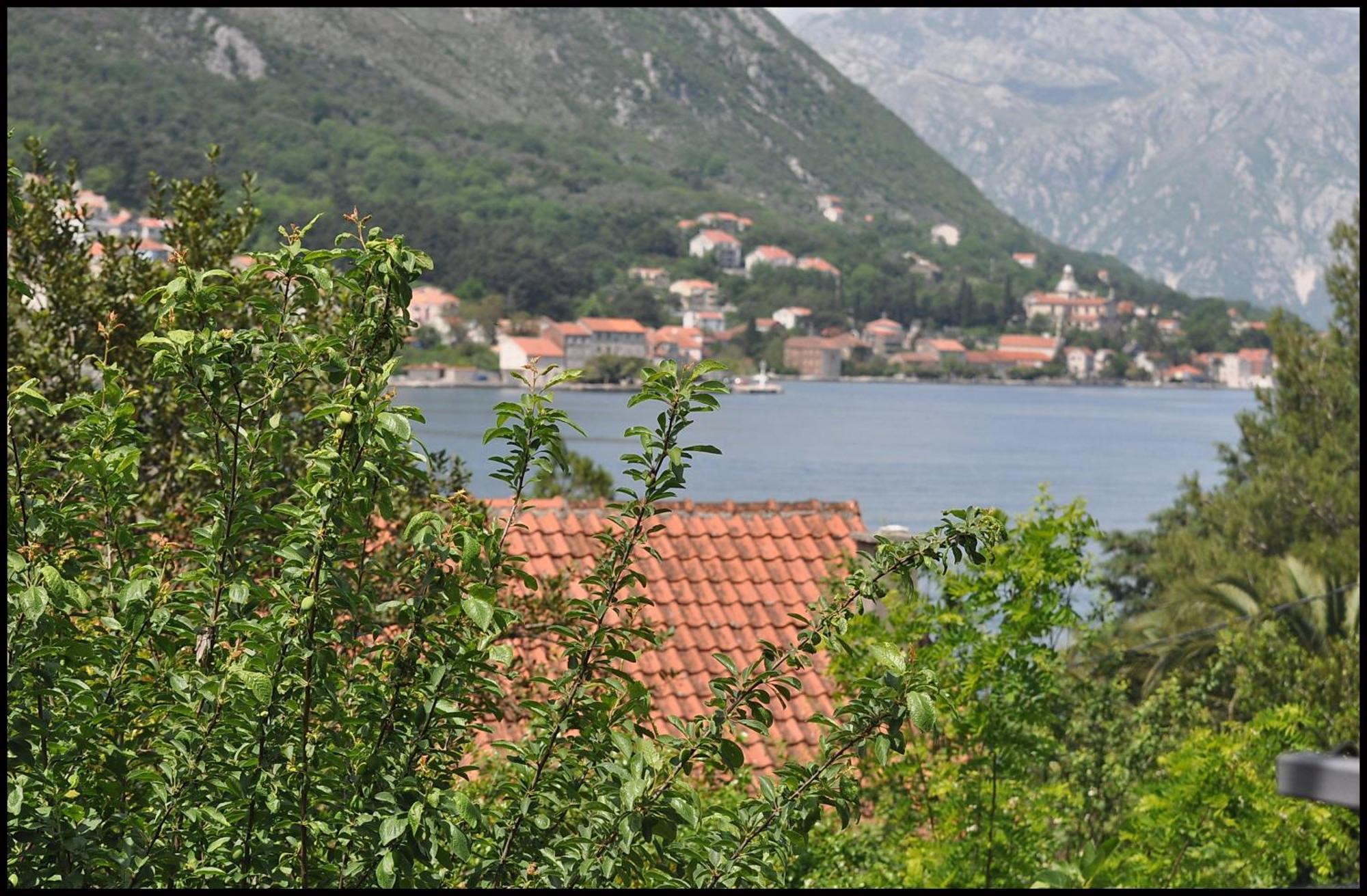 Apartments Jovanovic - Alkima Kotor Extérieur photo