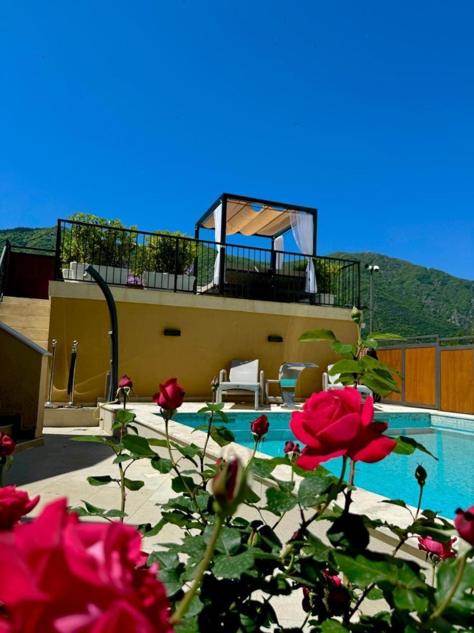 Apartments Jovanovic - Alkima Kotor Extérieur photo